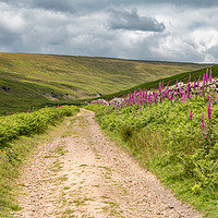 Buy canvas prints of Track to Hudeshope Head, Teesdale by Richard Laidler