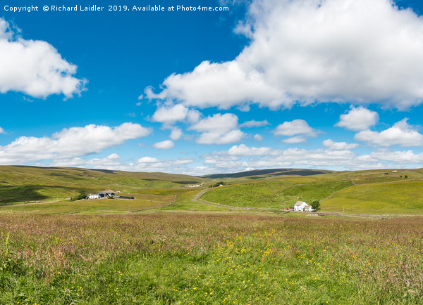 Harwood, Upper Teesdale - The Big Picture Picture Board by Richard Laidler