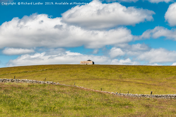 Barns at Lingy Hill, Harwood, Upper Teesdale Picture Board by Richard Laidler