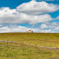 Buy canvas prints of Barns at Lingy Hill, Harwood, Upper Teesdale by Richard Laidler