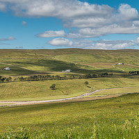 Buy canvas prints of Harwood Farms, Upper Teesdale by Richard Laidler