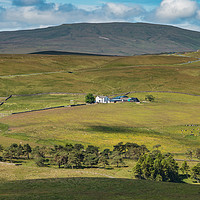 Buy canvas prints of Peghorn Lodge Farm, Upper Teesdale by Richard Laidler