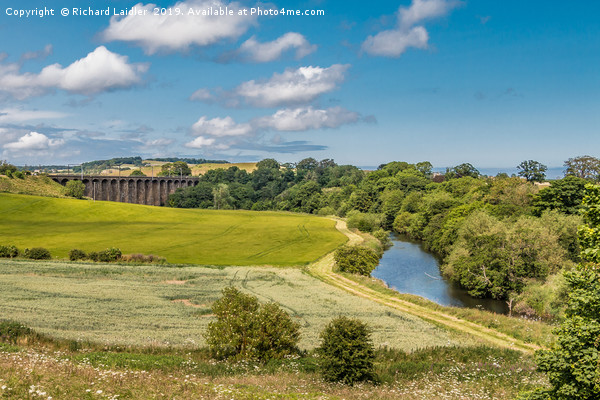 The River Aln and Alnmouth Railway Viaduct Picture Board by Richard Laidler