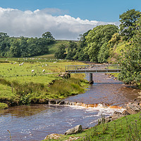 Buy canvas prints of Sleightholme Beck Summer Panorama by Richard Laidler