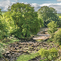 Buy canvas prints of The River Greta at East Mellwaters 1 by Richard Laidler