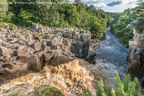 High Force Waterfall Teesdale - From The Top Down Picture Board by Richard Laidler
