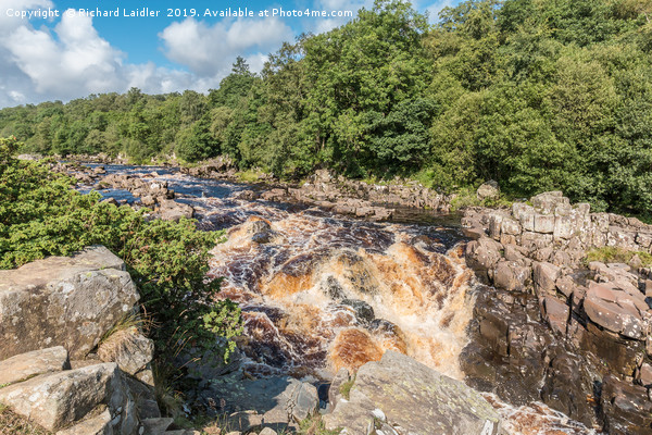 The River Tees Upstream from High Force Waterfall Picture Board by Richard Laidler