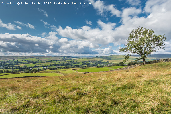 Big Sky over Lunedale from Blunt House Picture Board by Richard Laidler