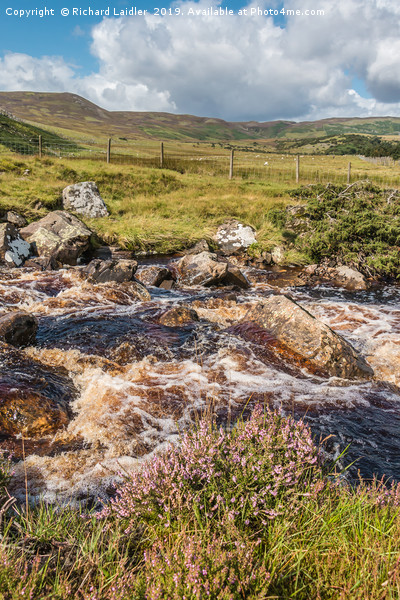 Over Blea Beck towards Cronkley Fell, Teesdale Picture Board by Richard Laidler