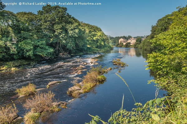 Summer on the River Tees at Barnard Castle Picture Board by Richard Laidler