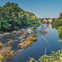 Buy canvas prints of Summer on the River Tees at Barnard Castle by Richard Laidler