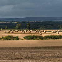 Buy canvas prints of Harvest Drama Panorama by Richard Laidler