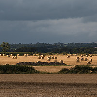 Buy canvas prints of Bales Bright Spot by Richard Laidler