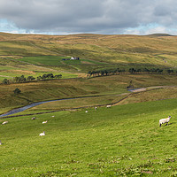 Buy canvas prints of Harwood, Upper Teesdale, September 2019 (1) by Richard Laidler