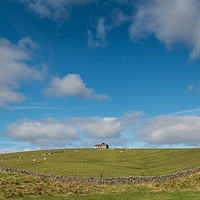 Buy canvas prints of Hilltop Barn, Harwood, Upper Teesdale (1) by Richard Laidler