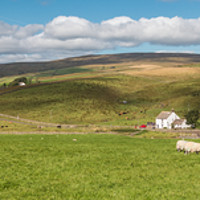 Buy canvas prints of Harwood, Upper Teesdale, Panorama by Richard Laidler