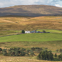 Buy canvas prints of Peghorn Lodge farm & Meldon Hill, Upper Teesdale 1 by Richard Laidler
