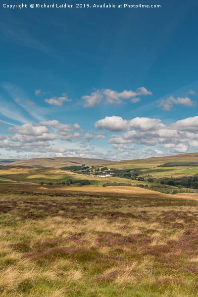 Forest in Teesdale from Holwick Fell 2 Picture Board by Richard Laidler