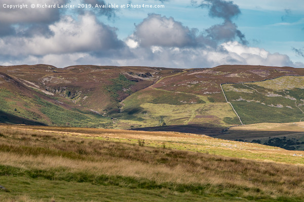 Towards Cronkley Fell, Upper Teesdale Picture Board by Richard Laidler