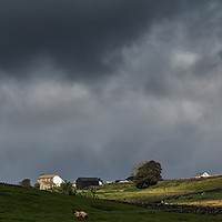 Buy canvas prints of Sunlit Farm, Stormy Sky 1 by Richard Laidler