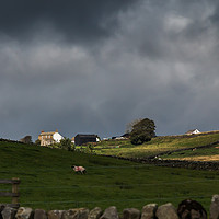 Buy canvas prints of Sunlit Farm, Stormy Sky 2 by Richard Laidler