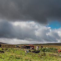 Buy canvas prints of Widdybank Farm, Upper Teesdale 2 by Richard Laidler