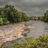 Buy canvas prints of River Tees in Flood at Barnard Castle, Teesdale by Richard Laidler