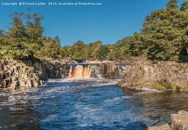 A Perfect Autumn Morning at Low Force Waterfall Picture Board by Richard Laidler