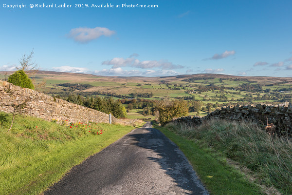 Down into Teesdale from Bail Hill Picture Board by Richard Laidler