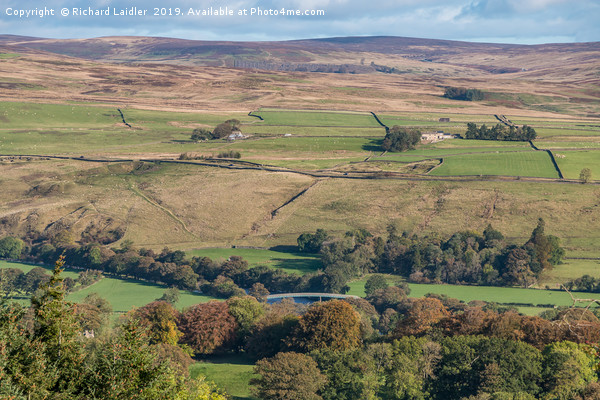Beckstones Wath Footbridge Teesdale from Bail Hill Picture Board by Richard Laidler