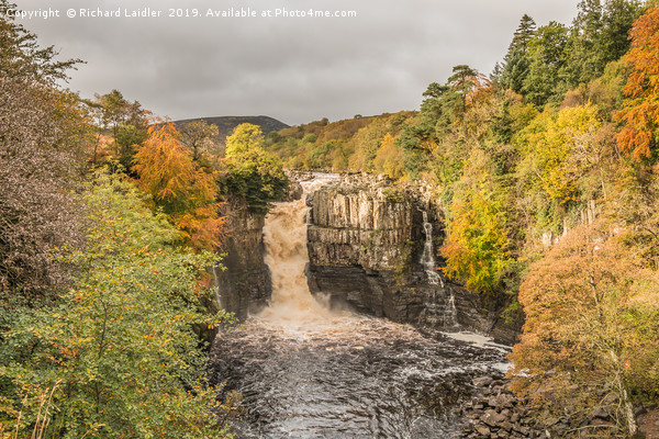 Autumn at High Force Waterfall, Teesdale Picture Board by Richard Laidler
