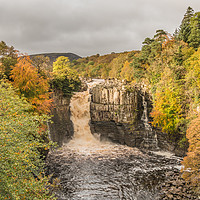 Buy canvas prints of Autumn at High Force Waterfall, Teesdale by Richard Laidler