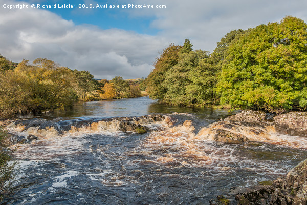 The River Tees between High Force and Low Force Picture Board by Richard Laidler