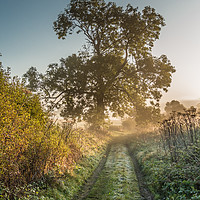 Buy canvas prints of The First Frost of Autumn by Richard Laidler