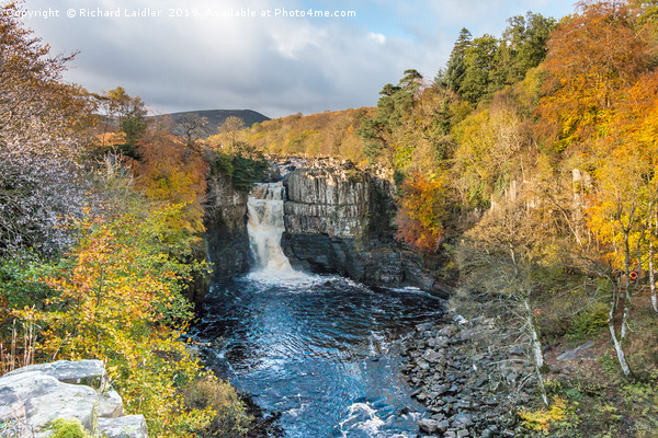 Autumn Colours at High Force Waterfall 1 Picture Board by Richard Laidler