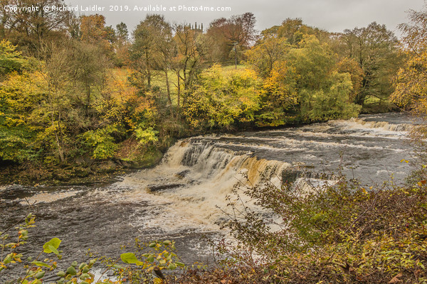 Autumn at Aysgarth Middle Falls, Yorkshire Dales Picture Board by Richard Laidler