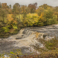 Buy canvas prints of Autumn at Aysgarth Middle Falls, Yorkshire Dales by Richard Laidler