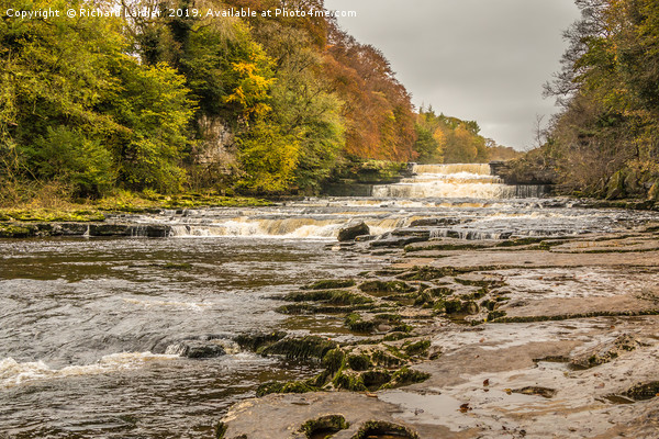 Autumn at Aysgarth Lower Falls, Yorkshire Dales Framed Mounted Print by Richard Laidler