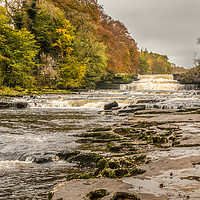 Buy canvas prints of Autumn at Aysgarth Lower Falls, Yorkshire Dales by Richard Laidler