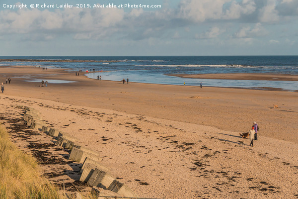 Alnmouth Beach and Aln Estuary, Northumberland Picture Board by Richard Laidler