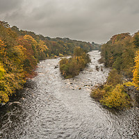 Buy canvas prints of Autumn on the River Tees at Winston 1 by Richard Laidler