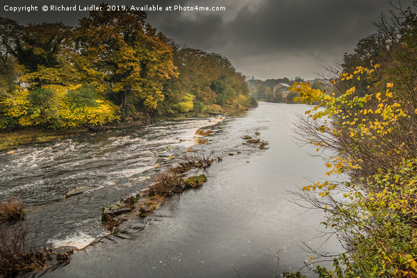 Wet Autumn on the River Tees at Barnard Castle Picture Board by Richard Laidler