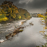 Buy canvas prints of Wet Autumn on the River Tees at Barnard Castle by Richard Laidler