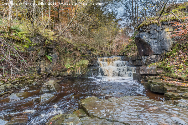 Waterfall on Bow Lee Beck at Bowlees, Teesdale Picture Board by Richard Laidler