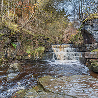 Buy canvas prints of Waterfall on Bow Lee Beck at Bowlees, Teesdale by Richard Laidler