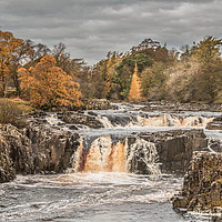 Buy canvas prints of Autumn Colours at Low Force Waterfall, Teesdale by Richard Laidler