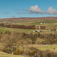 Buy canvas prints of Upper Teesdale in Autumn, Over To Ettersgill  by Richard Laidler