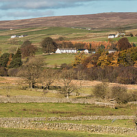 Buy canvas prints of East Friar House from Holwick, Teesdale by Richard Laidler
