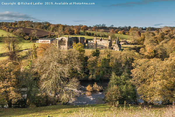 Egglestone Abbey in Late Autumn Sunshine Picture Board by Richard Laidler
