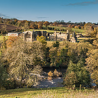 Buy canvas prints of Egglestone Abbey in Late Autumn Sunshine by Richard Laidler